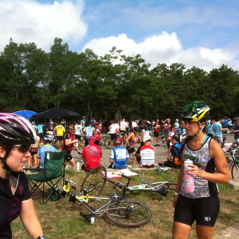 /pfpphotos/uploads/DP0153/DP0153.Gall.PMC 2012 36.jpg
